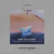 Shaen One Of A Kind Andrey Kravtsov Remix