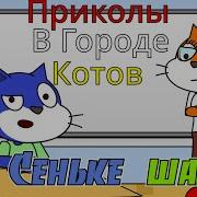 По Сеньке Шапка Приколы В Городе Котов