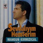 Sevdalıyım Remix