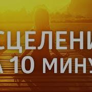 Исцеление За 10 Минут Елена Балацкая