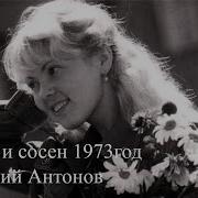 У Берез И Сосен Антонов 1973