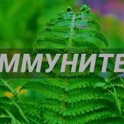 Иммунная Система Усиление Иммунитета Скрытые Аффирмации