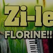 Florin Mitroi Zile Florin Soacra