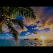 Happy Ukulele Background Music Upbeat Music Instrumental