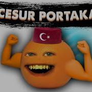 Pratik Türkçe Турецкий Язык