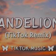 Dandelios Remix