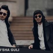 Mango Guruhi O Sha Guli Qo Shiq Matni Lyrics Version