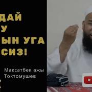 Кучтуу Баяндар