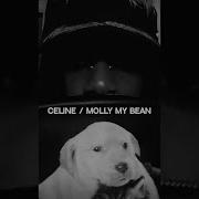 Molly My Bean Guitar Remix