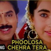 Phoolon Sa Chehra Tera Anand Milind Udit Narayan