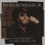 Wheeler Walker Jr Drunk As Fuck