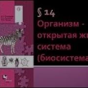 Организм Открытая Живая Система