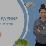 Сыроеденин Отзывы