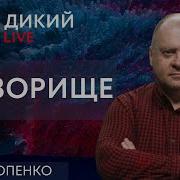 Высшая Степень Тупизны Олег Попенко Дикий Live