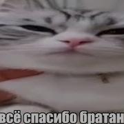 Обнял Приподнял Рахмет