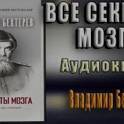 Все Секреты Мозга Большая Книга Про Сознание