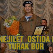 Branjilet Ostida Ham Yurak Bor