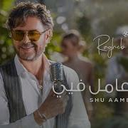 Ragheb 2024