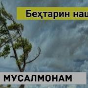 Скачать Нашид Ман Мусалмонам