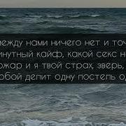 Ты Подари Одну Ночку Текст Песни Исп В Пудова