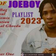 Best Of Joe Boy 2021