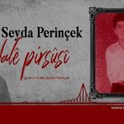 Seyda Perincek Erdalem