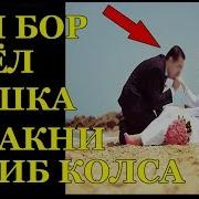 Эри Бор Аел Бошкасини Севса