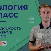 Сивоглазов Плешаков Биология 6 Класс Раздражимость И Движени