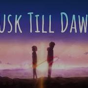 Dusk Till Dawn Amv Kimi No Na Wa Your Name