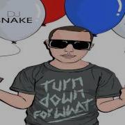 Dj Snake Ft Lil Jon Turn Down For What Dotcom Remix Bass Boosted