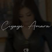 Serceye Amara Remix