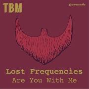 Are You With Me Extended Mix Lost Frequencies