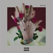 Bloom Mgk