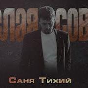 Саня Тихий Белая Сова