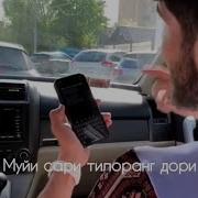 Муйи Сари Тилоранг Дори