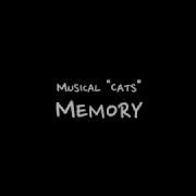 Original Key Instrumental Musical Cats