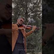 Mahdi Habibi Violin