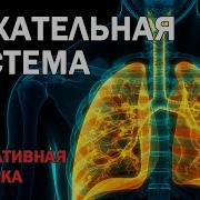 Исцеляющая Музыка Для Дыхания