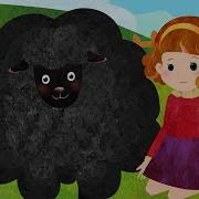 Ba Ba Ba Ba Black Sheep Song