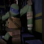 Tmnt Leo Boy Like You