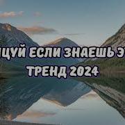 Рингтоны Из Лайка 2024 Года