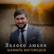 Яблоко Любви Шамиль Магомедов