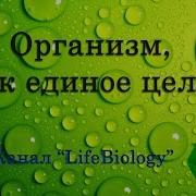 В В Пасечников 8 Глава 5 Класс Организм Единное Целое