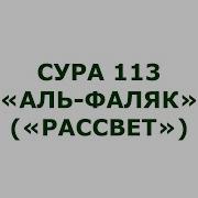 Суура 113