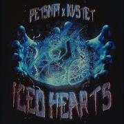 Kvstet Petsmpi Iced Hearts