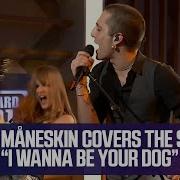 Wanna Be Your Dog Maneskin