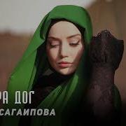 Чеченская Песня Кирара Дог Тешна 2017