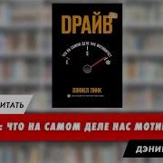 Драйв Что На Самом Деле Нас Мотивирует Дэниел Пинк Как Получать Кайф От Работы