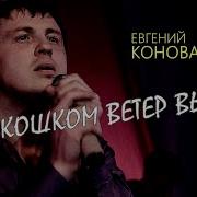 Евгений Коновалов Вьюга