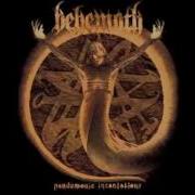 Pandemonic Incantations Behemoth